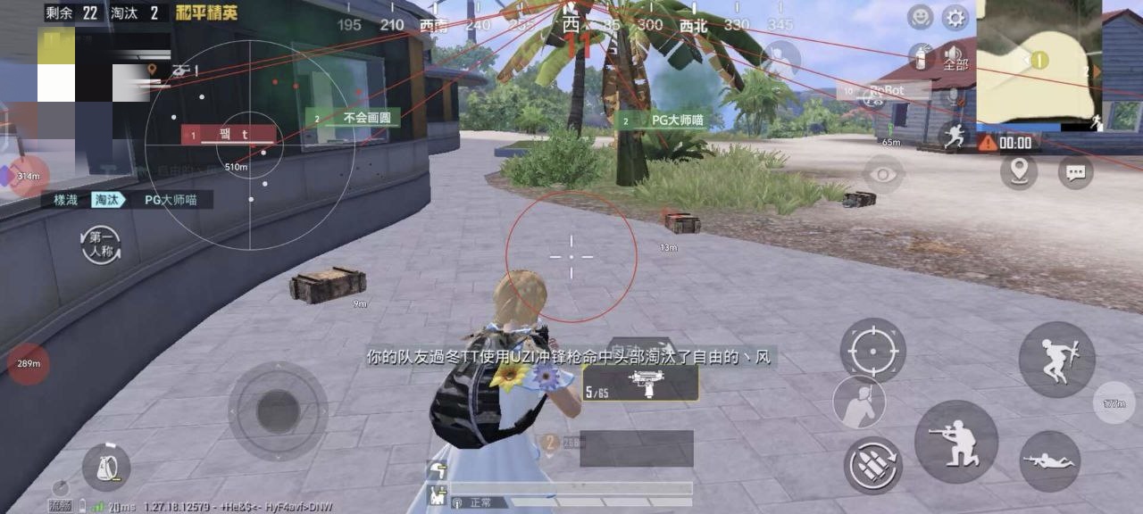 和平精英辅助【火焰鸟直装V6.0终极修复版】射线透视 准星聚点 空投透视 人物变大 显示手持 透视雷达